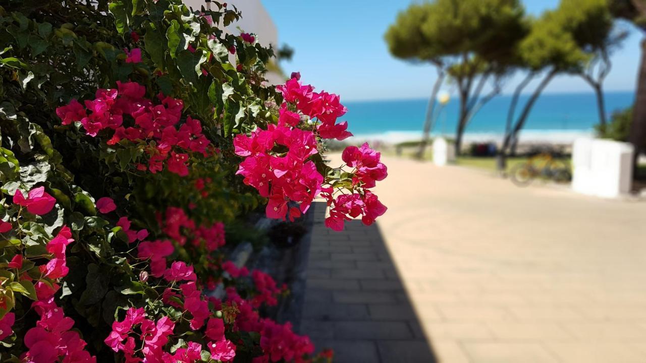 Apartamentos El Arrecife Conil De La Frontera Dış mekan fotoğraf