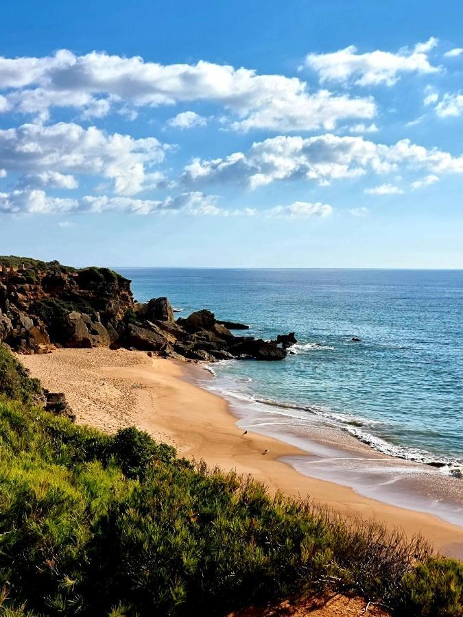 Apartamentos El Arrecife Conil De La Frontera Dış mekan fotoğraf