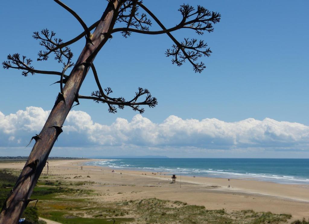 Apartamentos El Arrecife Conil De La Frontera Dış mekan fotoğraf